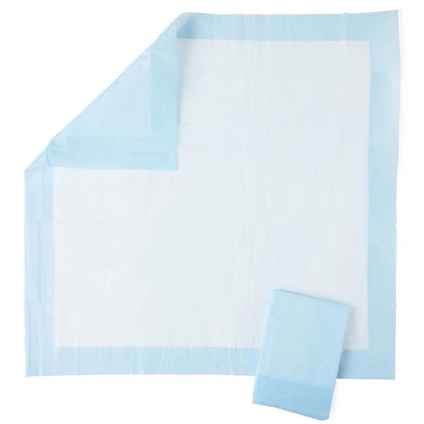 Underpad Protection+ Unisex Economy 23x24\